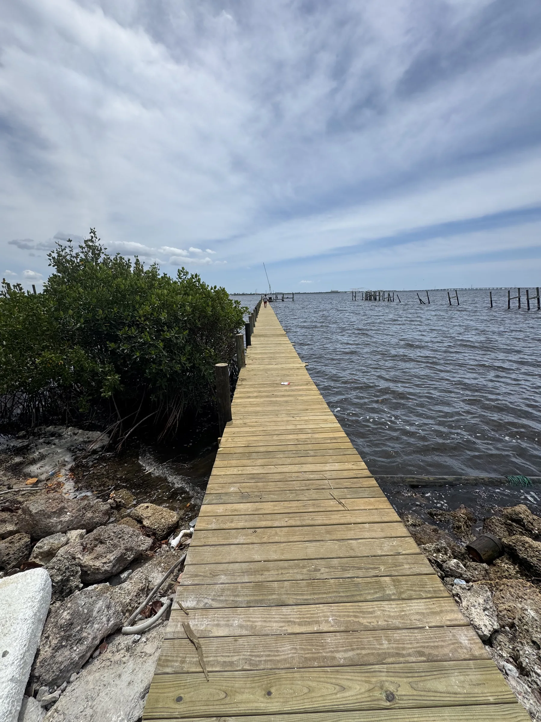A long timber dock extending past mangroves toward open water